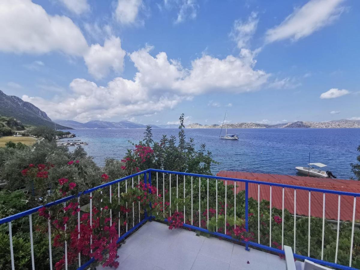 Отель Mavi Akvaryum Pension Sogut  Экстерьер фото