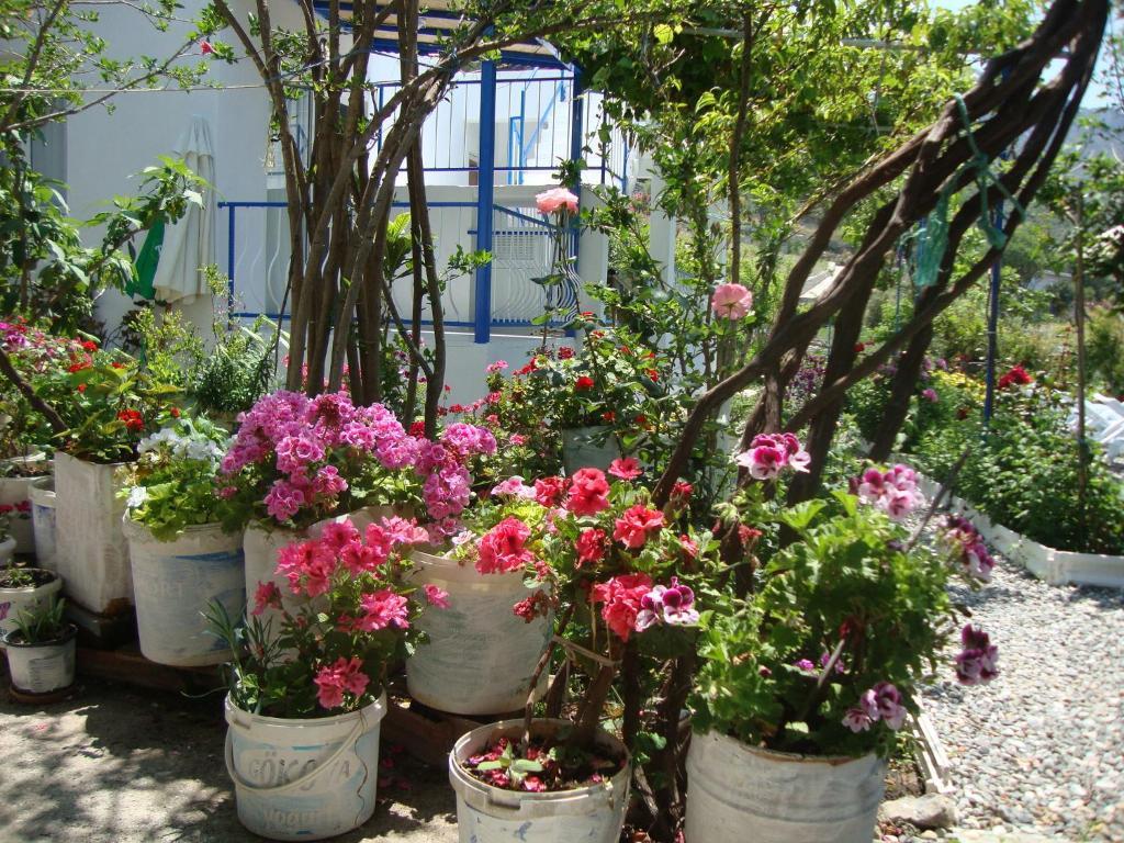 Отель Mavi Akvaryum Pension Sogut  Экстерьер фото